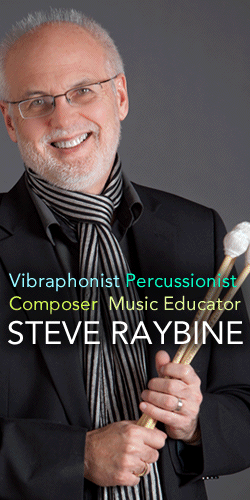 Steve Raybine Cool Vibes